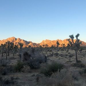 Meet your Posher, Ley